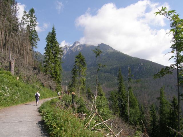 nad Bilíkovou chatou-Vysoké Tatry