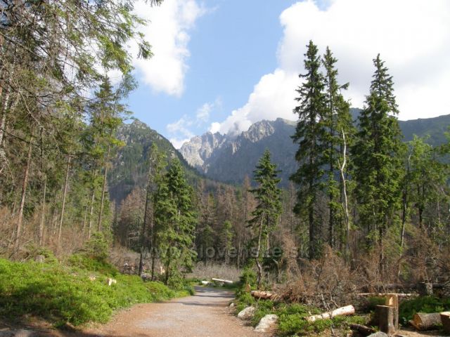 Lomnický štít od Bilíkovy chaty-Vysoké Tatry