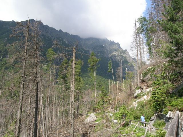 Malá Studená dolina-Vysoké Tatry