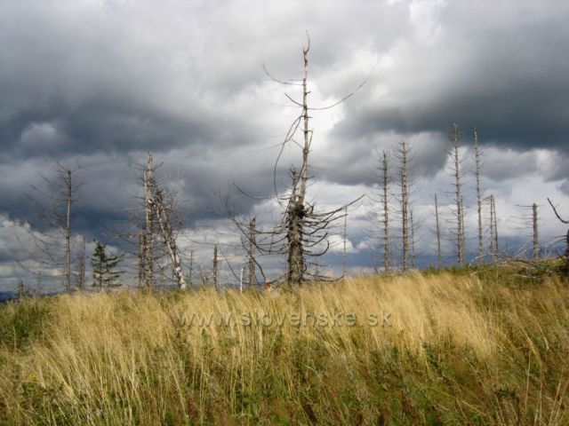 Spišská Magura