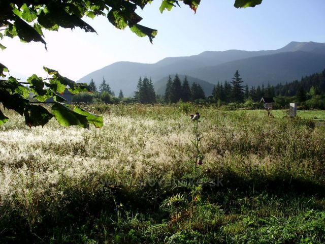 Stříbrná louka, Zuberec