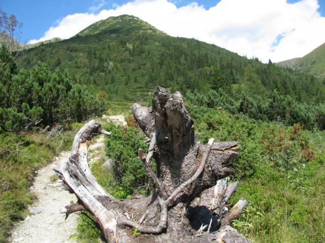 Západní Tatry