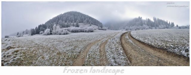 frozen landscape