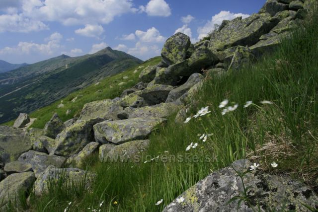 Nízké Tatry