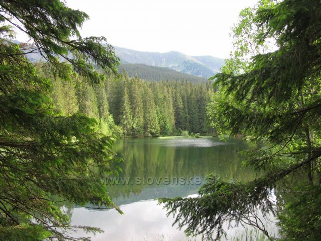 Vrbické pleso