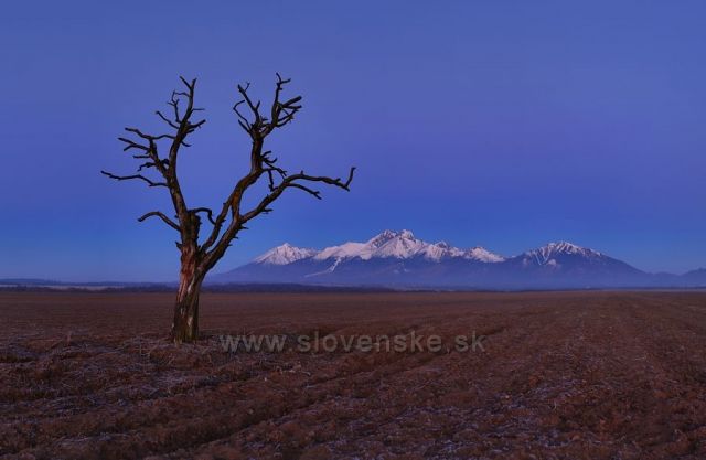 Tatry těsně před svítáním