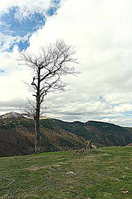 výhledy cestou na Borišov