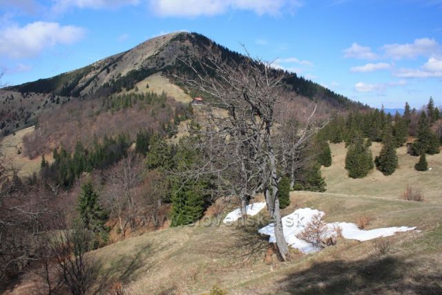 cestou na Borišov