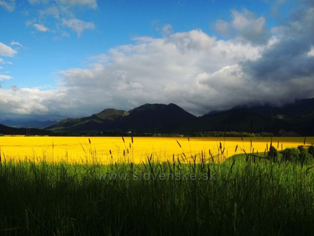 JARNÉ POLIA Z CYKLOTRASY, VZADU NÍZKE TATRY