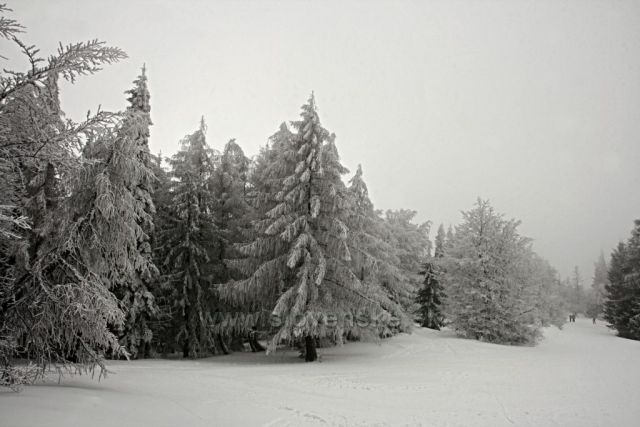 hřebenovkou