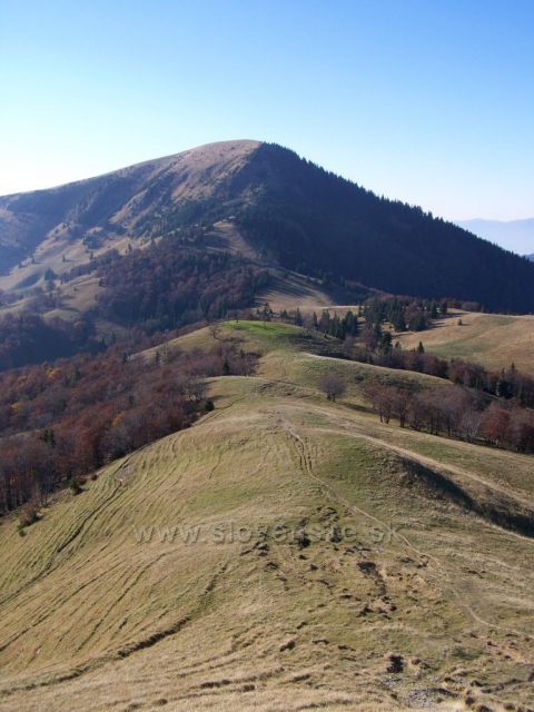 Borišov s "Borišovkou"......