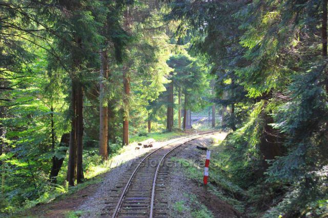 Oravská lesná železnica