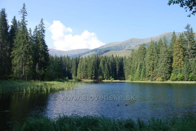 Vrbické pleso