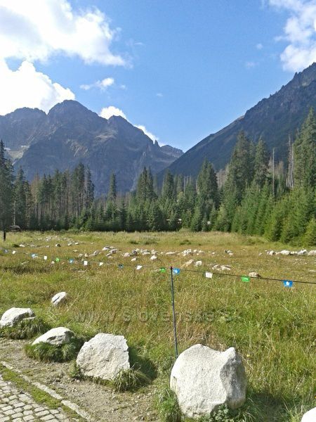 Vysoké Tatry