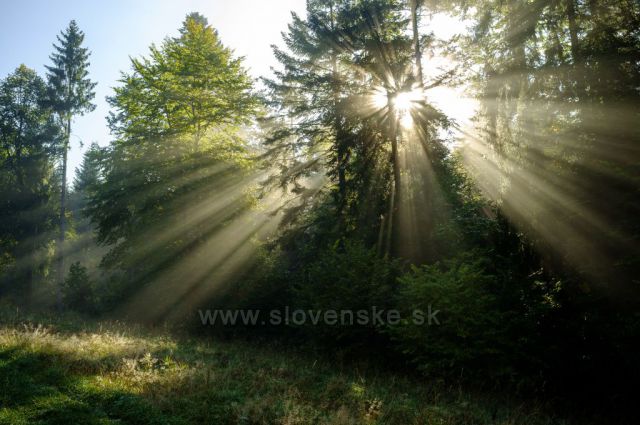 Nad obcí Dedinky - stíny v ranní mlze