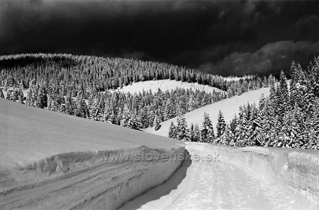 Veľká Fatra-Cesta na Smrekovicu