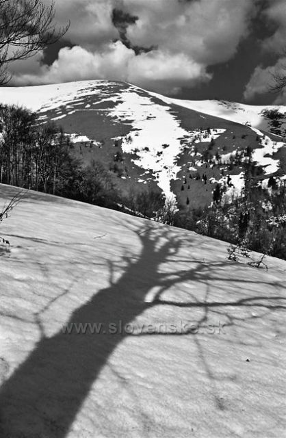 Veľká Fatra-Krížna 1574m