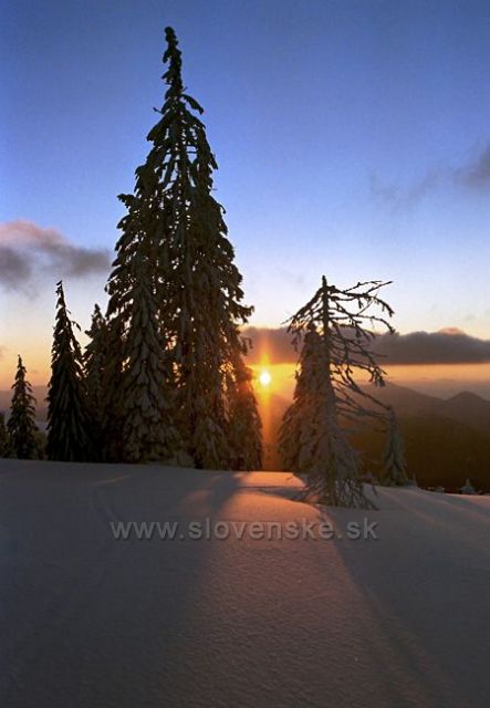 Veľká Fatra-Podvečer na Hrebeni