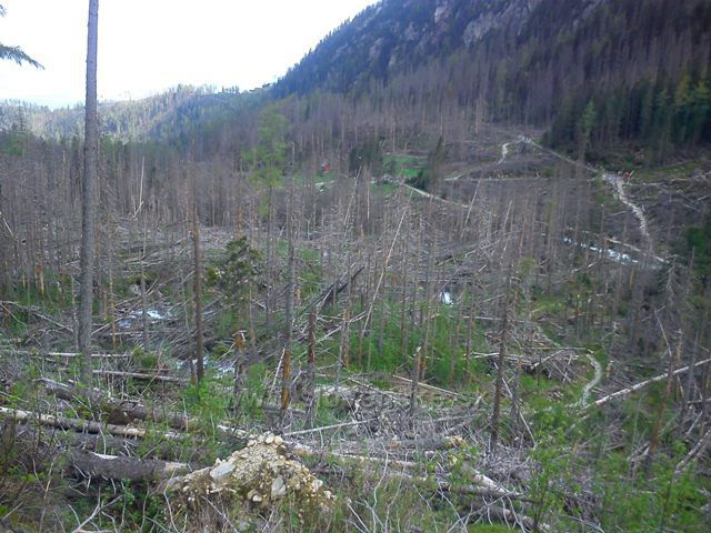 Velká Studená dolina. Vysoké Tatry 2014