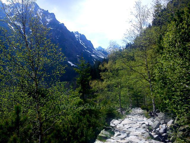 Velká Studená dolina. Vysoké Tatry 2014