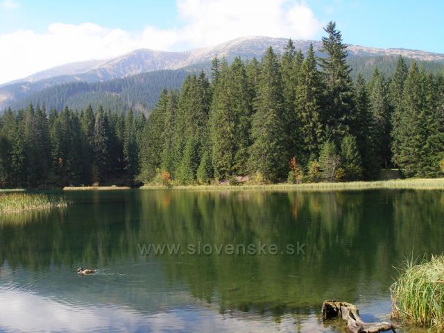 Vrbické pleso a krásný výhled